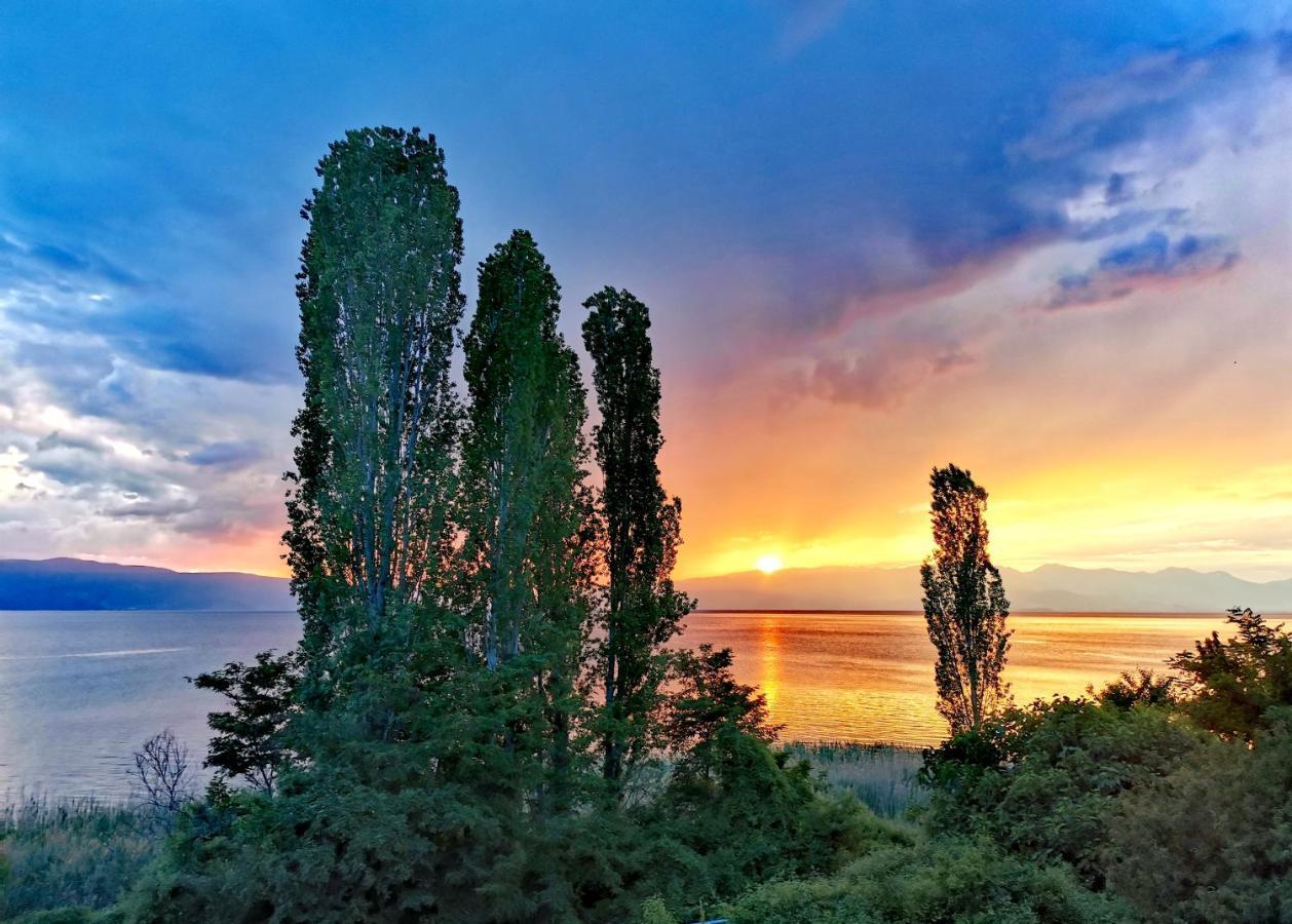Villa Kalina โอครีด ภายนอก รูปภาพ